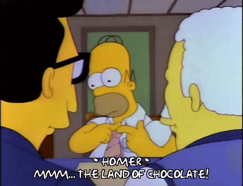 Homer Land Of Chocolate